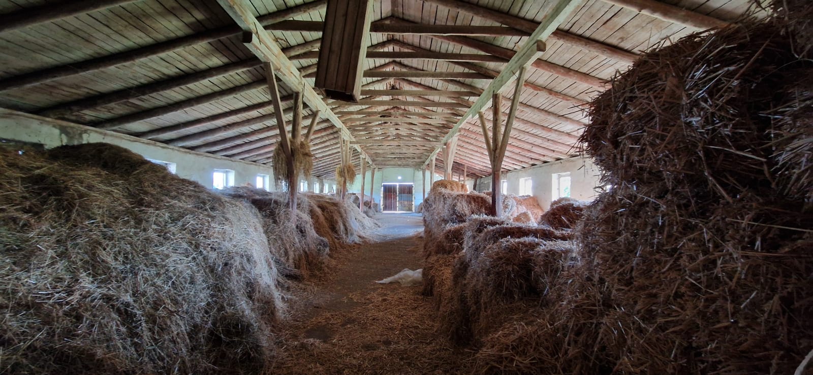 ninigori-inside-farm