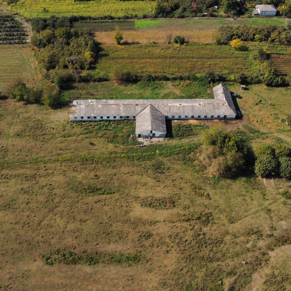 dji_fly_20241012_130922_116_1728724171249_photo_optimized