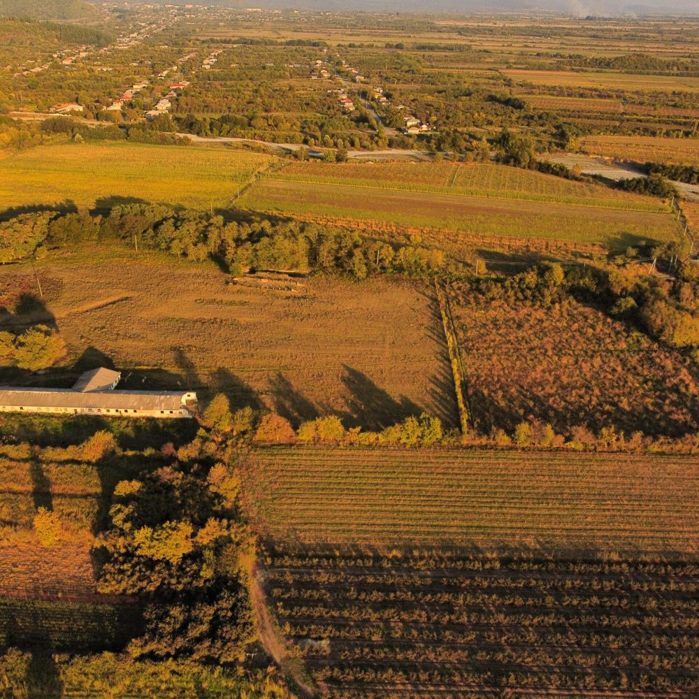 dji_fly_20241012_172500_173_1728739510260_photo_optimized