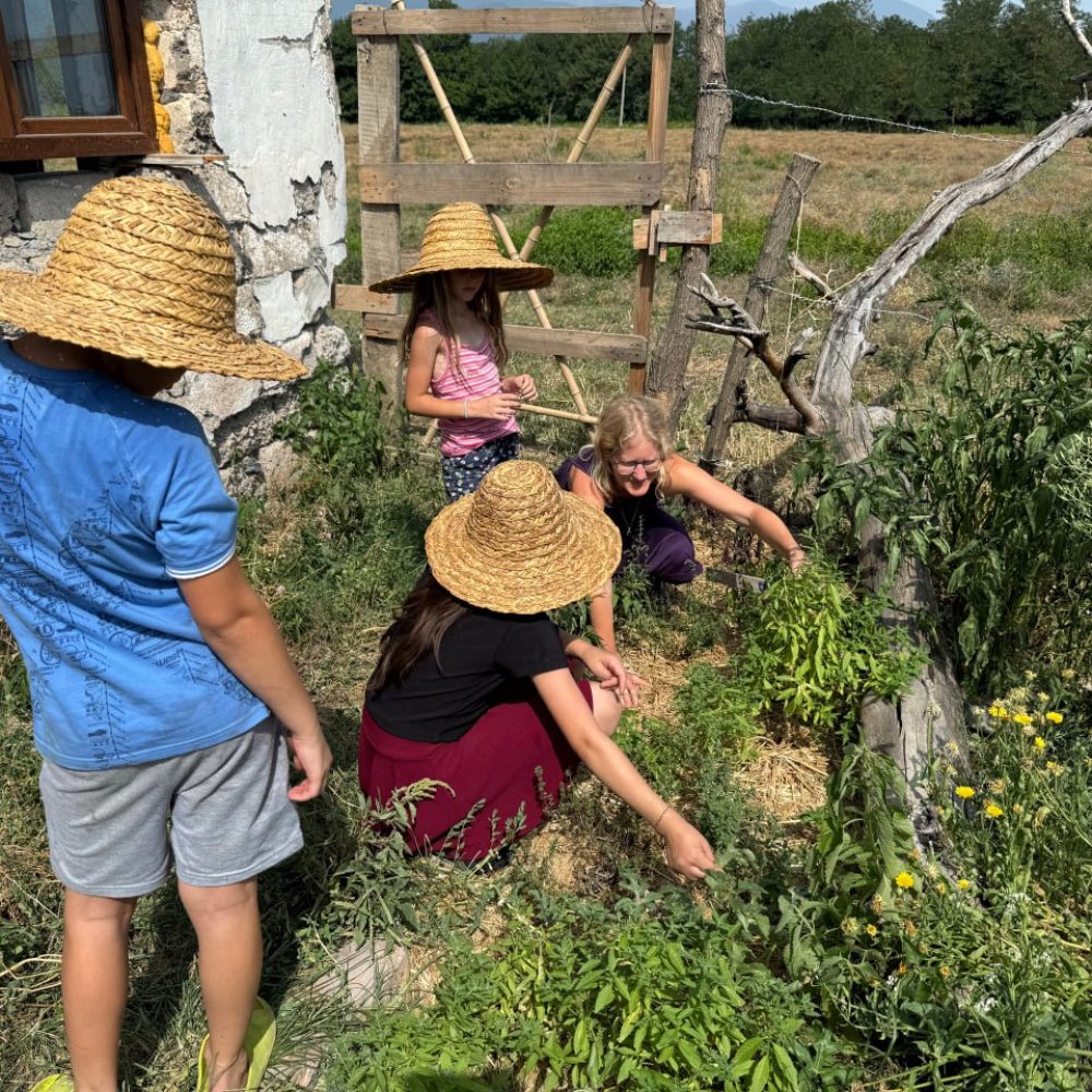 photo_2025-10-20_22-44-27