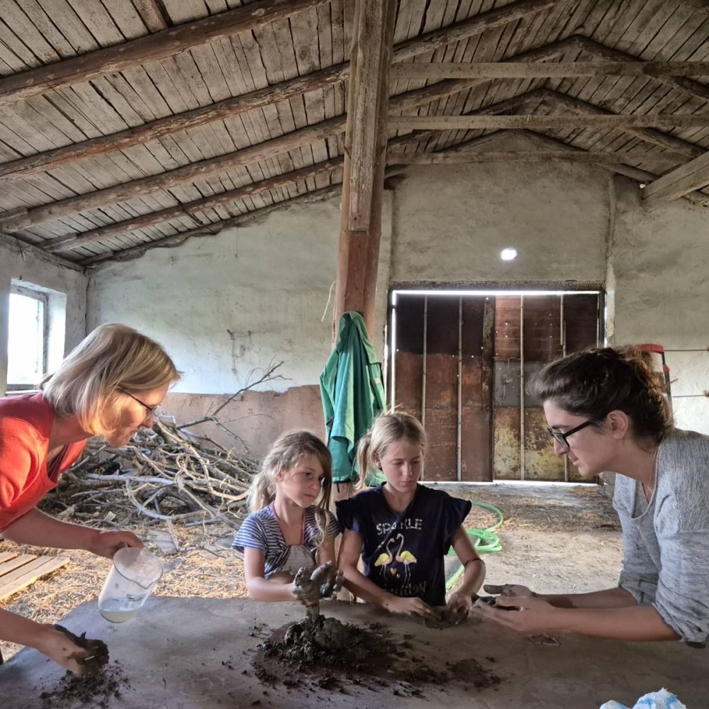 signal-2024-09-29-224028_004